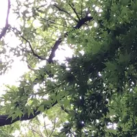 泉自然公園の写真・動画_image_1372138
