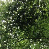 泉自然公園の写真・動画_image_1372139