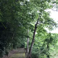 泉自然公園の写真・動画_image_1372140