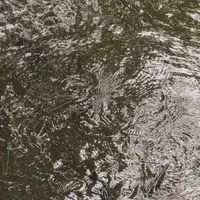 泉自然公園の写真・動画_image_1372141