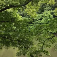 泉自然公園の写真・動画_image_1372142