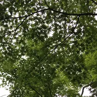 泉自然公園の写真・動画_image_1372143