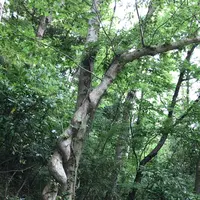 泉自然公園の写真・動画_image_1372144