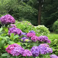 泉自然公園の写真・動画_image_1372146