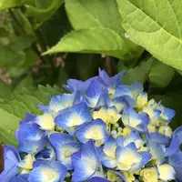 泉自然公園の写真・動画_image_1372147