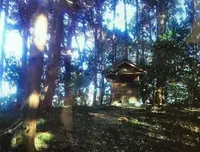 下里の写真・動画_image_137269