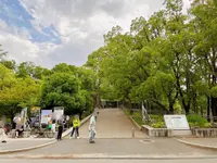 大阪城の写真・動画_image_1374325