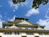 大阪城の写真・動画_image_1374347