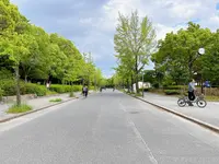 大阪城公園の写真・動画_image_1374468