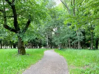 大阪城公園の写真・動画_image_1374487