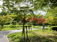 大阪城公園の写真・動画_image_1374492