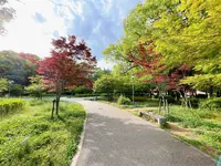大阪城公園の写真・動画_image_1374494
