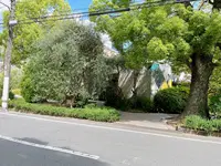 ザ・ガーデンオリエンタル・大阪　(THE GARDEN ORIENTAL OSAKA)の写真・動画_image_1374578