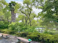藤田邸跡公園（旧藤田邸庭園）の写真・動画_image_1374612