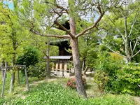 藤田邸跡公園（旧藤田邸庭園）の写真・動画_image_1374628