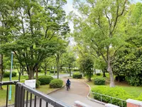 毛馬桜之宮公園の写真・動画_image_1374637