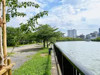 毛馬桜之宮公園の写真・動画_image_1374645