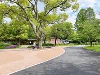 毛馬桜之宮公園の写真・動画_image_1374647