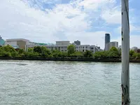 大阪造幣局の写真・動画_image_1374661