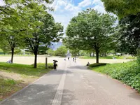 扇町公園の写真・動画_image_1374930