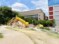 扇町公園の写真・動画_image_1374932