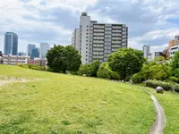 扇町公園の写真・動画_image_1374936