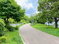 扇町公園の写真・動画_image_1374941