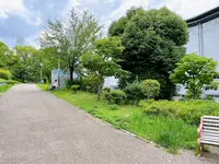 扇町公園の写真・動画_image_1374942