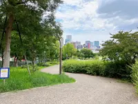 扇町公園の写真・動画_image_1374943
