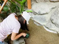 宝石探し トレジャーストーンパークの写真・動画_image_1375500