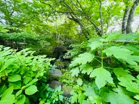 カフェ&ガーデン しらさぎ邸の写真・動画_image_1375608