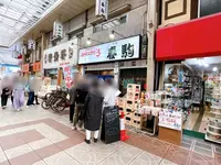 春駒（はるこま）の写真・動画_image_1375660