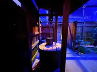 大阪市立住まいのミュージアム 大阪くらしの今昔館の写真・動画_image_1375716