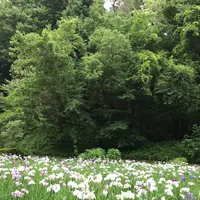 泉自然公園の写真・動画_image_1376260