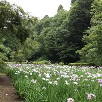 泉自然公園の写真・動画_image_1376261