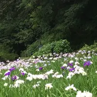 泉自然公園の写真・動画_image_1376262
