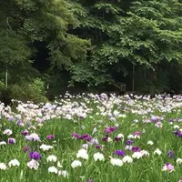 泉自然公園の写真・動画_image_1376263