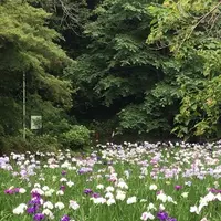 泉自然公園の写真・動画_image_1376264