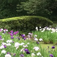 泉自然公園の写真・動画_image_1376265