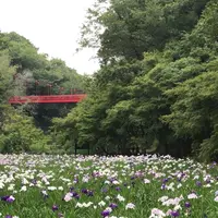 泉自然公園の写真・動画_image_1376266