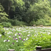 泉自然公園の写真・動画_image_1376267