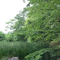 泉谷公園の写真・動画_image_1376386
