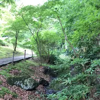 泉谷公園の写真・動画_image_1376388