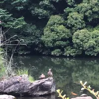 泉谷公園の写真・動画_image_1376389
