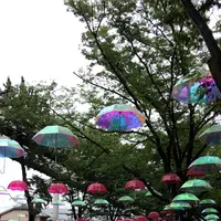 千葉公園の写真・動画_image_1376827