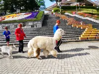 那須高原 りんどう湖ファミリー牧場の写真・動画_image_1377682