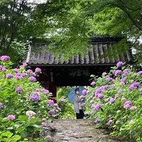 本光寺の写真・動画_image_1380320