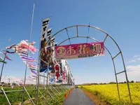 那須ハートフルファーム 菜の花畑 ひまわり畑 愛込の写真・動画_image_1380561