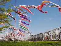 那須ハートフルファーム 菜の花畑 ひまわり畑 愛込の写真・動画_image_1380562