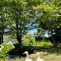 雨引山楽法寺（雨引観音）の写真・動画_image_1381043